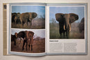 The Vanishing Giants