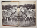 Come Along to Tanganyika