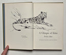A Glimpse of Eden