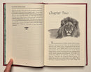 Out in the Midday Shade: Memoirs of an African Hunter
