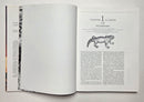 Eyelids of Morning: The Mingled Destinies of Crocodiles and Men