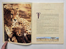 Great African Adventures