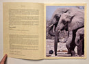 Great African Adventures