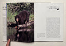 Black Bear: Seasons in the Wild