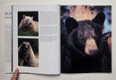 Black Bear: Seasons in the Wild