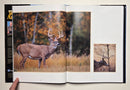 Conserving Wild America