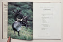 Antlers Nature's Majestic Crown
