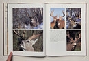Antlers Nature's Majestic Crown
