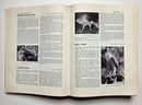 The New Hunter’s Encyclopedia