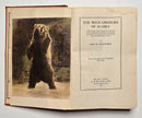 The Wild Grizzlies of Alaska