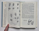 A Field Guide to Animal Tracks