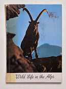 Wild Life in the Alps
