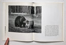 The Black Bear Book