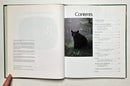 Bears & Other Carnivores