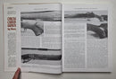 Checkering & Carving of Gunstocks