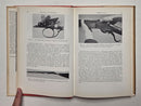 Shotguns & Cartridges for Game and Clays