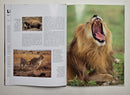 Lions: A Portrait of the Animal World