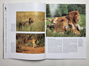 Lions: A Portrait of the Animal World