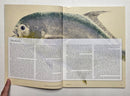 Saltwater Flies of the Southeast & Gulf Coasts