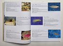 Saltwater Flies of the Southeast & Gulf Coasts
