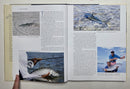 Best Fly-Fishing Trips Money Can Buy