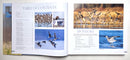 Highways In The Sky: The North American Flyways