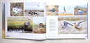 Highways In The Sky: The North American Flyways