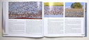 Highways In The Sky: The North American Flyways