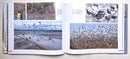 Highways In The Sky: The North American Flyways