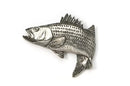 Jumping Striper Pewter Pin