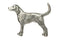 Coon Hound Pewter Pin