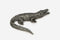 Alligator Pewter Pin