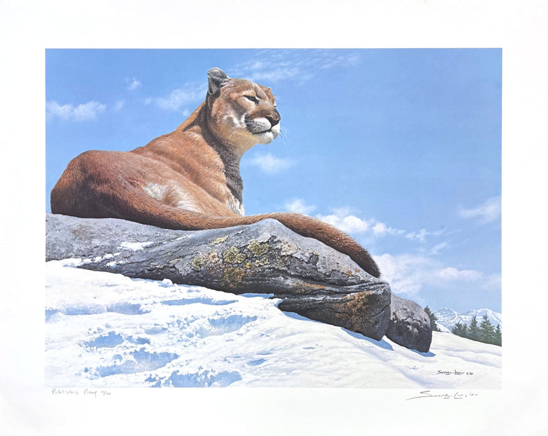 Above the Tree Line - Cougar by John Seerey-Lester - Artist's Proof