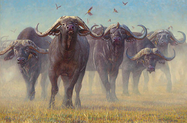 Buffalo Soilders By John Banovich