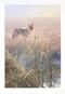 Dawn on the Marsh - Coyote by John Seerey-Lester - Artist's Proof