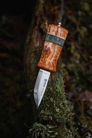 Helle Fjording 2025 LTD
