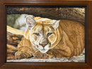 I See You! by Larry Seymour