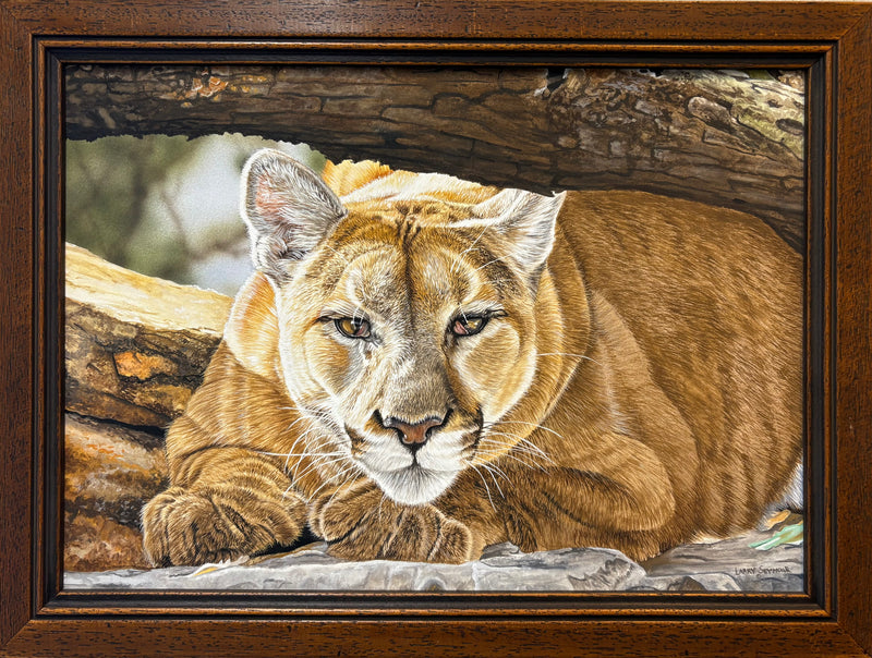 I See You! by Larry Seymour
