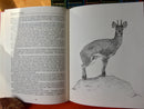 Complete African Countries Hunting Series