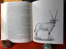 Complete African Countries Hunting Series