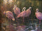 Spoonbills by Hilarie Lambert