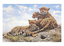 Kenyan Family - Cheetahs by John Seerey-Lester - Artist's Proof