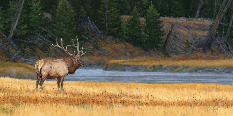 Along The Madison by Dave Kiehm