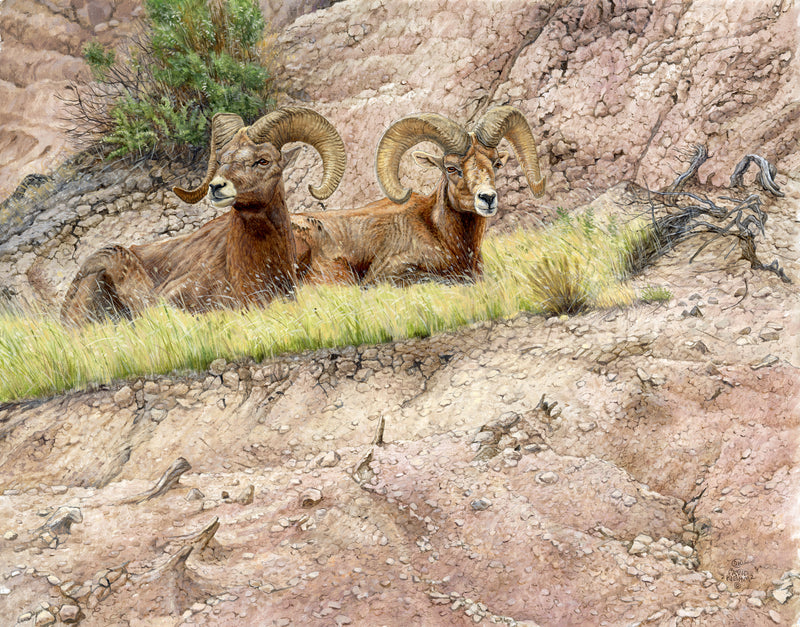 Badlands Lookout by Dave Kiehm