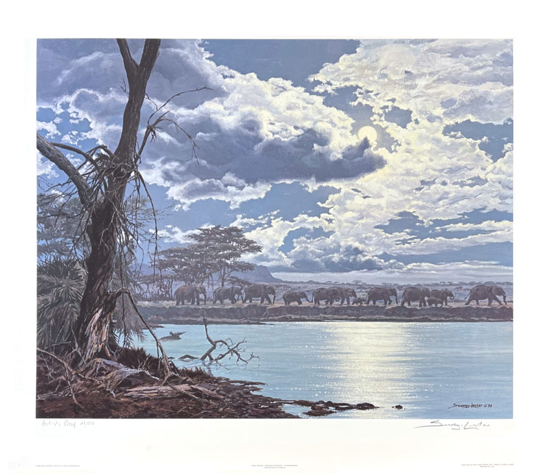 Night Moves – African Elephants by John Seerey-Lester - Artist's Proof