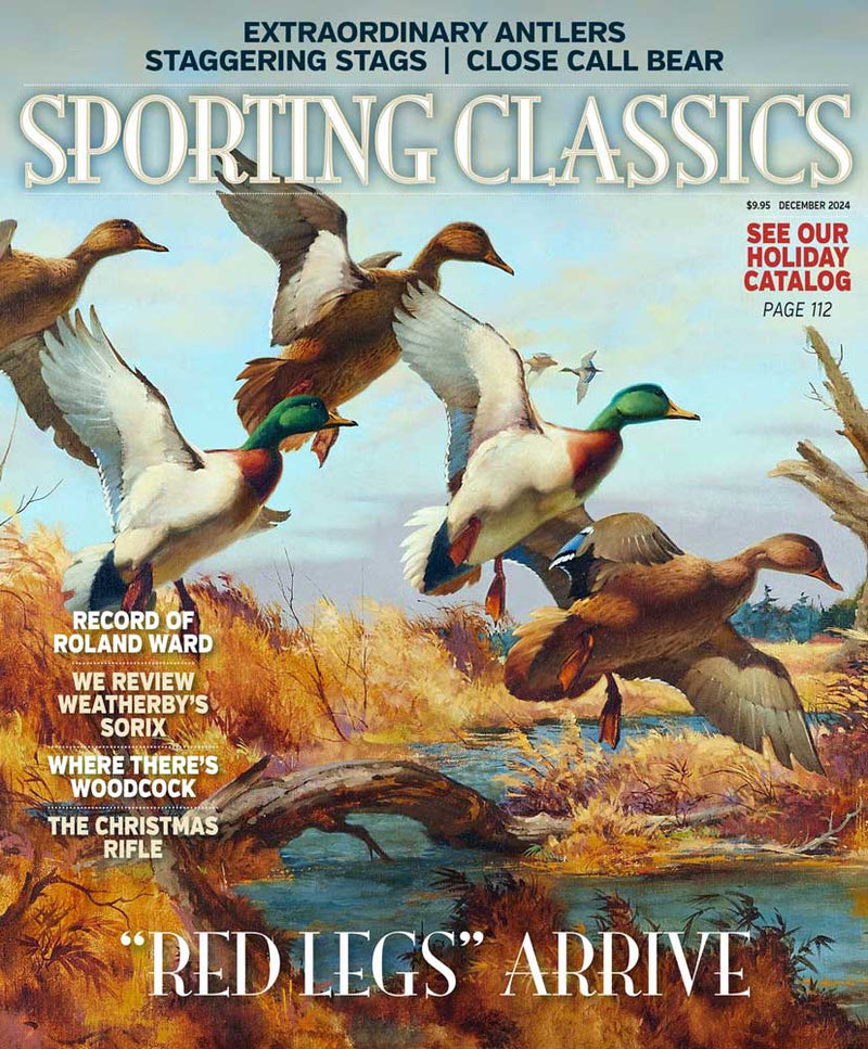 2024 - 8 - November/December Issue