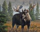 Taiga King by Rebekah Knight