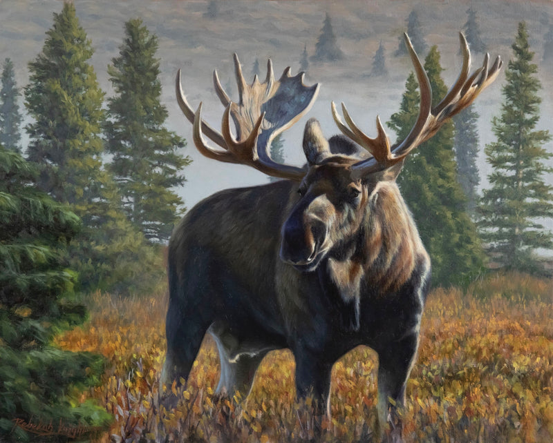 Taiga King by Rebekah Knight
