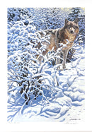 Winter Spirit – Gray Wolf by John Seerey-Lester - Artist's Proof