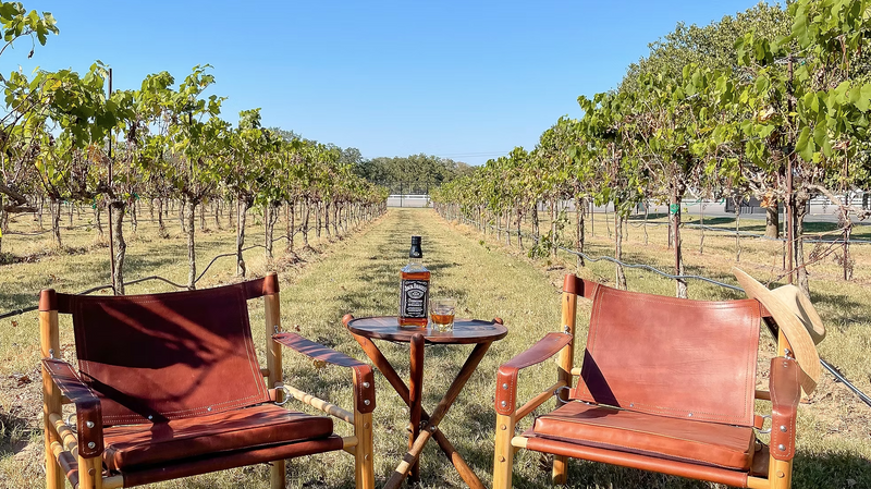 Cognac Latigo Leather Safari Chair